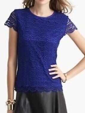 Banana Republic Blue Lace Top – Sheer Sleeves, Flattering Fit